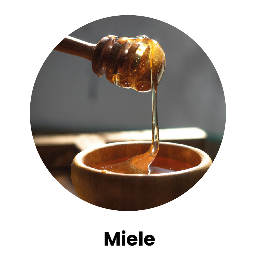 Miele che cola dal coglimiele - Miele